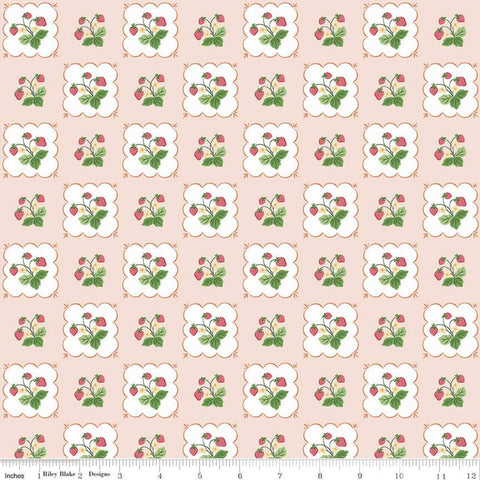 riley-blake-designs-summer-picnic-by-melissa-mortenson-tablecloth-c10751-pink