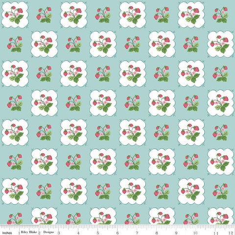riley-blake-designs-summer-picnic-by-melissa-mortenson-tablecloth-c10751-songbird