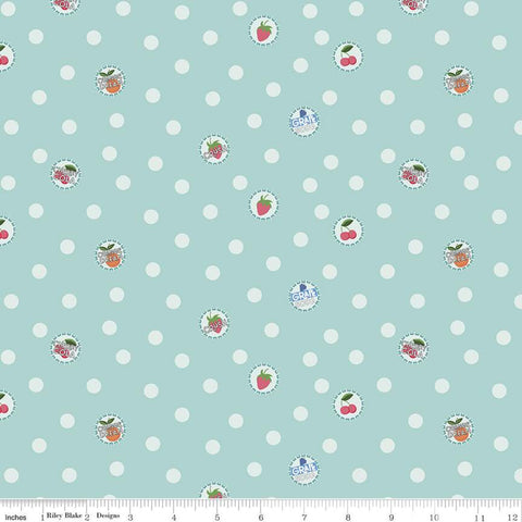 riley-blake-designs-summer-picnic-by-melissa-mortenson-bottlecaps-songbird-c10752-songbird