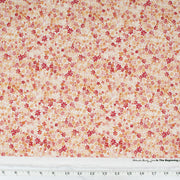 watercolor-beauty-by-in-the-beginning-studio-daisy-orange-17GSH-1